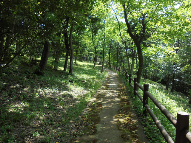 弥生の森遊歩道