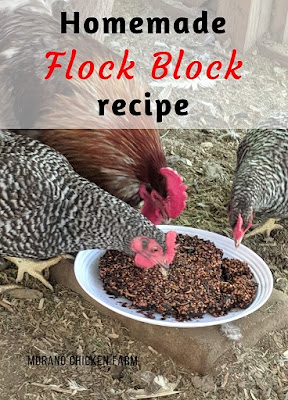 cheap flock block recipe