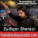 http://www.humaliwalayazadar.com/2017/10/zulfiqar-sherazi-nohay-2018.html