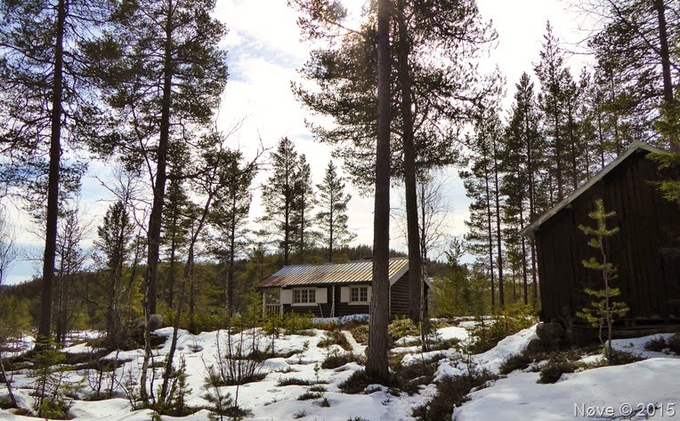 P1040236