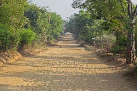 Picture of path around Govardhan Parikrama