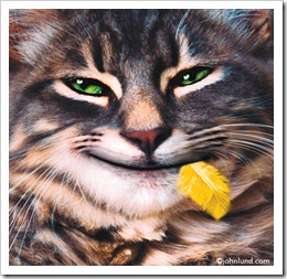 Stock Photos and Funny Pictures @ www.johnlund.com