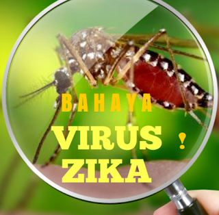 Mengenal Bahaya Virus Zika