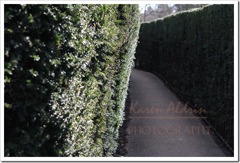 IMG_8617-001web