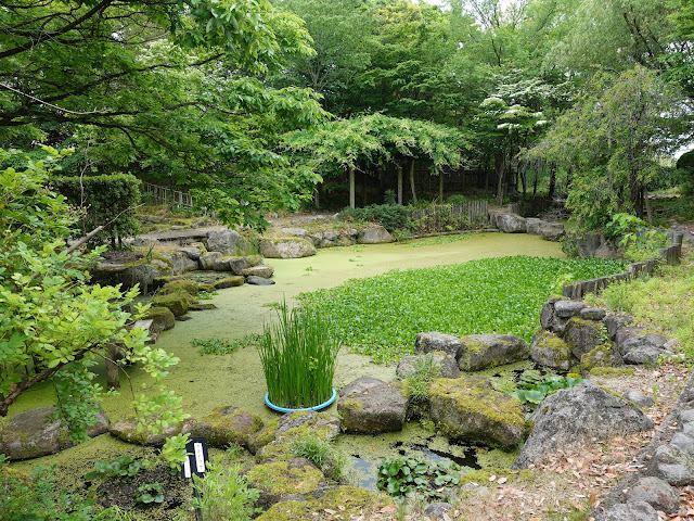 鳥取県米子市淀江町福岡　伯耆古代の丘公園　万葉の園