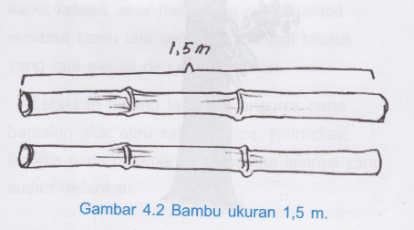 Budi Daya Tanaman Anggrek bambu