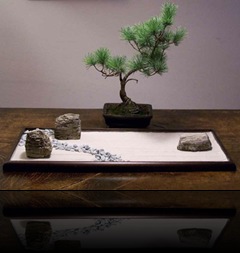 Etichette: arte e cultura giapponese, chinatown milano, filosofia del tao, il giardino di Sejbei, italia e giappone, meditazione, mente, notizie, notizie interessanti sul giappone, oriente, pensieri, poesie, riflessioni, sejbei, stile di vita giapponese, vivere all'orientale, andrea berini, bonsai, l'arte del bonsai, cosa vuol dire bonsai