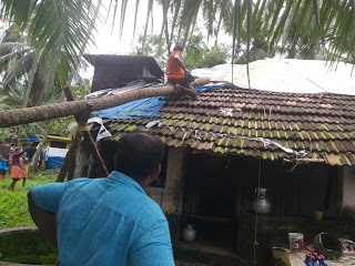 വെങ്ങര മൂലക്കീലിൽ മരം കടപുഴകി വീണ് വീട് ഭാഗികമായി തകർന്നു