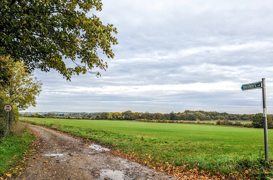 Turn left on Stapleford bridleway 13