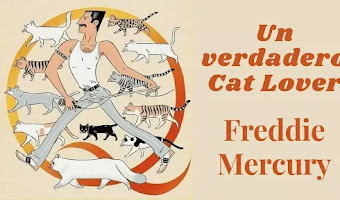 Freddie Mercury y su infinito amor por sus 9 gatos