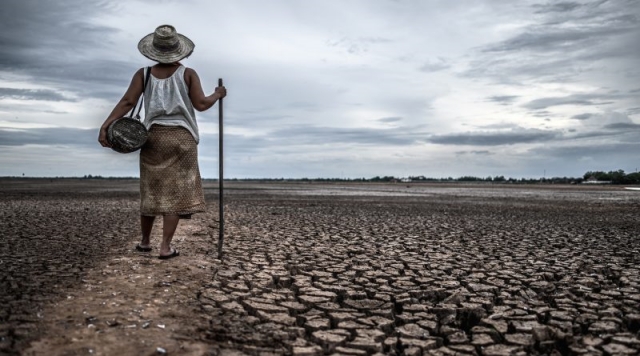 Desmatamento do Cerrado coloca em risco oferta de água em 12 municípios da Bahia