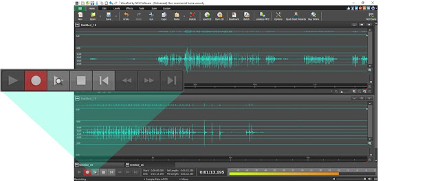 screenshot of recording in WavePad audio editing software