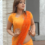 South Indian Actress Sizzling Beauties