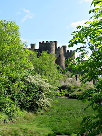 Conwy Castle, Wales