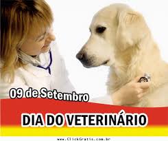 DIA DO MÉDICO VETERINÁRIO por Alexandre Tenório