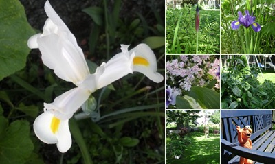 View Roni's Garden
