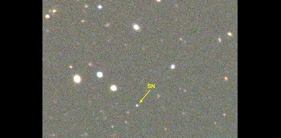 The yellow arrow marks the superluminous supernova DES15E2mlf in this false-color image of the surrounding field. This image was observed with the Dark Energy Camera (DECam) gri-band filters mounted on the Blanco 4-meter telescope on December 28, 2015, around the time when the supernova reached its peak luminosity. (Observers: D. Gerdes and S. Jouvel)