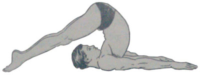 Halasan or Plow pose - Steps and Benefits