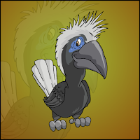 Play Games2Jolly White Crowned Hornbill Escape