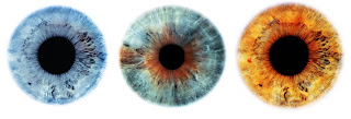 Vision Correction App : Heart Opening Eye Gaze Meditation