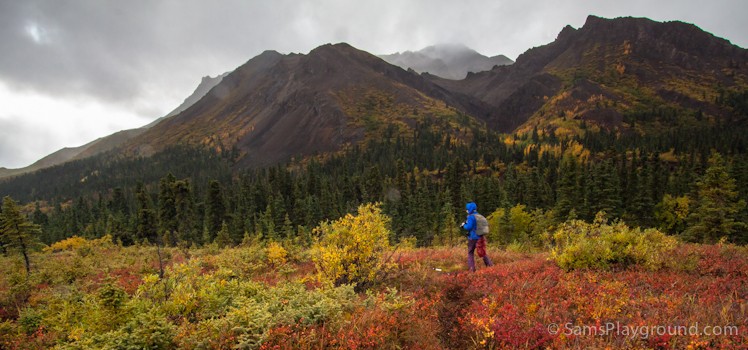 Denali National Park, Alaska