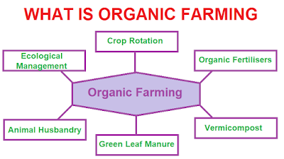 Main features of Organic Farming