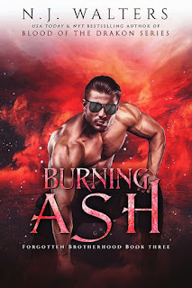 Burning Ash by NJ Walters