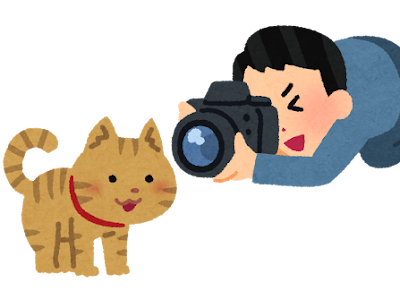 ++ 50 ++ かわいい 猫 イラスト 人 783858