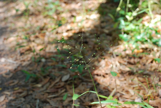 Moses Creek Conservation Area