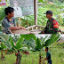 Babinsa Serka Dendi Motivasi Warga Berkebun Pisang di Dusun Berkat
