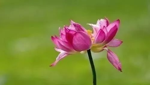 clip_image013