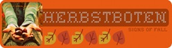 BIWYFI_banner_600