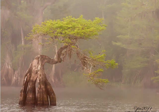 pictures of a lake