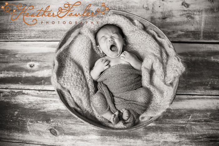 newborn photography Philadelphia