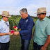 Fomento da prefeitura garante colheita de uma tonelada de pitaya em 2024