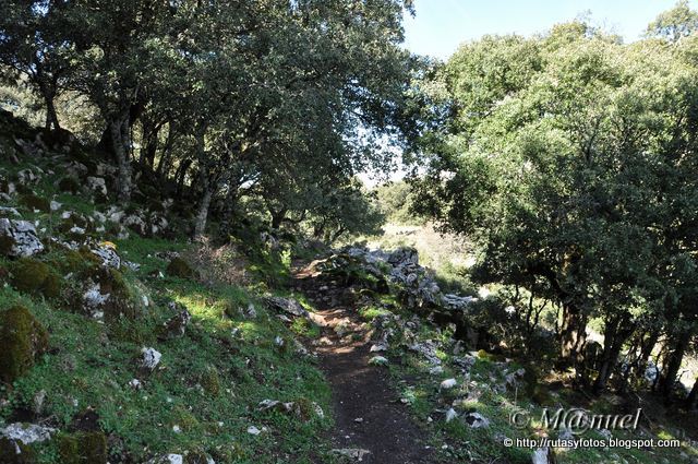 Sierra de Los Pinos