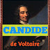 Résumé de Candide ou l'Optimisme de Voltaire chapitre par chapitre en Français et en Arabe | Deuxième année du Baccalauréat