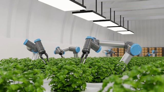 The Agtech Revolution: Transforming Agriculture Through Innovation
