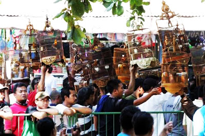Wisata Yogyakarta yang terkenal hingga mancanegara