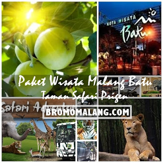 http://www.bromomalang.com/2016/04/paket-wisata-malang-batu-taman-safari-2.html