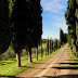 Villa Armena Style: Boutique/Design 5 Star Hotels Localita Armena Buonconvento , 53022 Italy thumbnail
