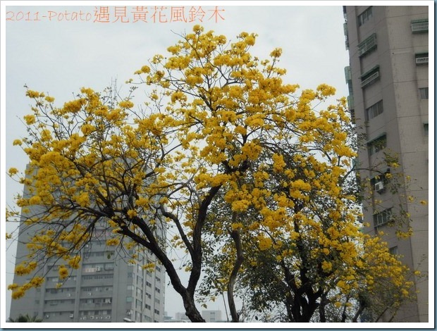 DSCN9440