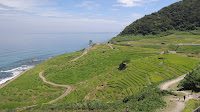 夏の白米千枚田（輪島市）