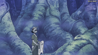 ワンピース アニメ 空島 スカイピア 167話 | ONE PIECE Episode 167 Skypiea