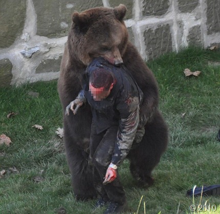bear-attack-2