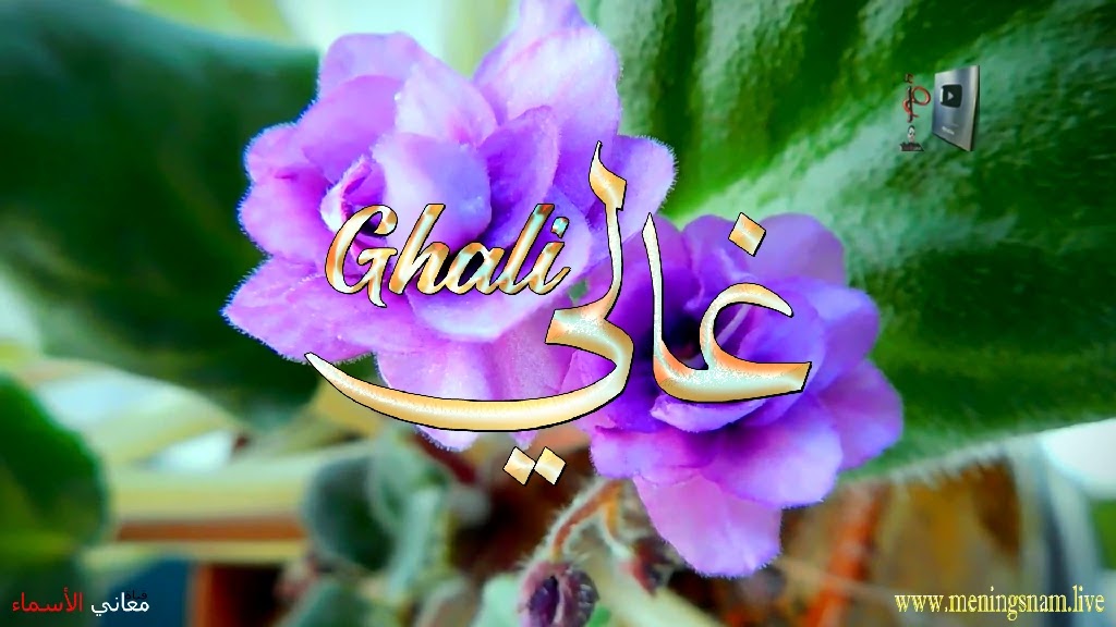 معنى اسم غالي وصفات حامل هذا الاسم Ghali,