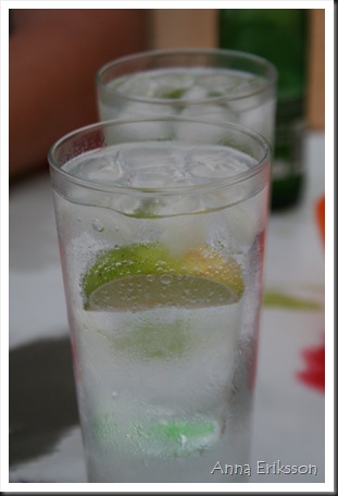20110726-062