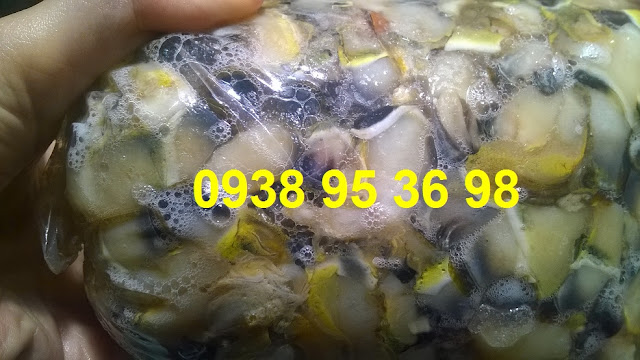 Bán hàu điếu sỉ và lẻ 0938 95 36 98  Giá mua cồi hàu điếu tốt nhất tại Sài Gòn, bán cồi hàu điếu giá rẻ ngon tại Sài Gòn, thịt ốc san hô, thịt hàu điếu, cung cấp ruột hàu điếu giá rẻ nhất, hàu điếu giao hàng tận nơi.   Các món ngon từ cồi hàu điếu - thịt ốc san hô: Hàu điếu nhúng lẩu, cồi hàu điếu nấu canh hoặc súp, ruột ốc san hô nhúng chanh chấm mù tạt, hàu điếu xào sa tế, hàu điếu sả ớt, cồi hàu điếu xào bơ tỏi, hàu điếu xào mì, hàu điếu nấu bún, cồi hàu điếu nấu cháo đều rất ngon,...  Liên hệ 0938 95 36 98