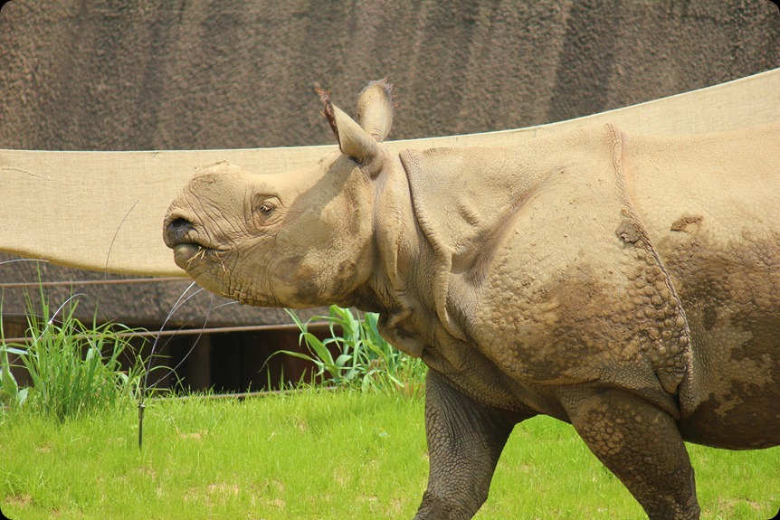 Zoo4 358 Zoo4 358