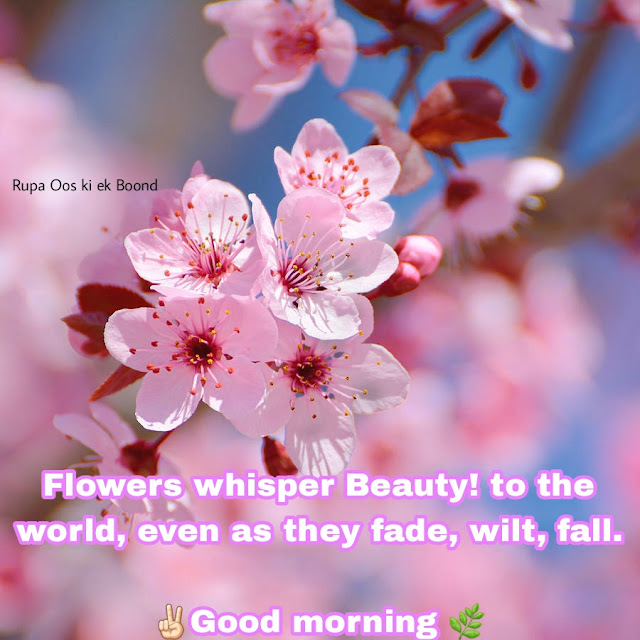 25 Beautiful & Positive Inspirational Good morning Quotes, Wishes and Messages